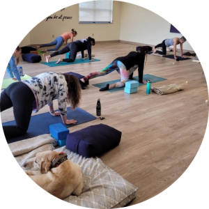 Instructor leads trauma-informed yoga class to promote mind and body healing from trauma. 